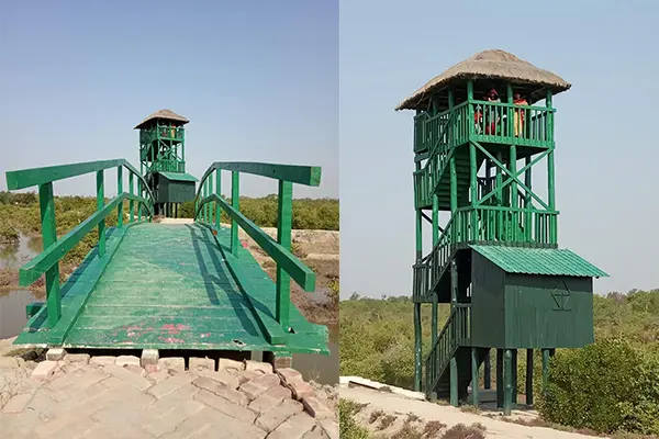 sundarban crocodile pond