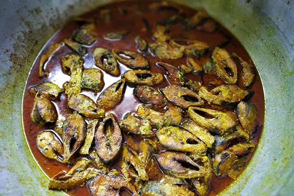 sundarbans ilish utsab