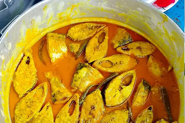 ilishutsab in sundarban