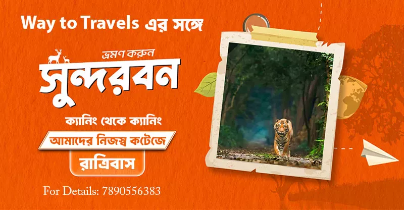 Sundarban tour Dates