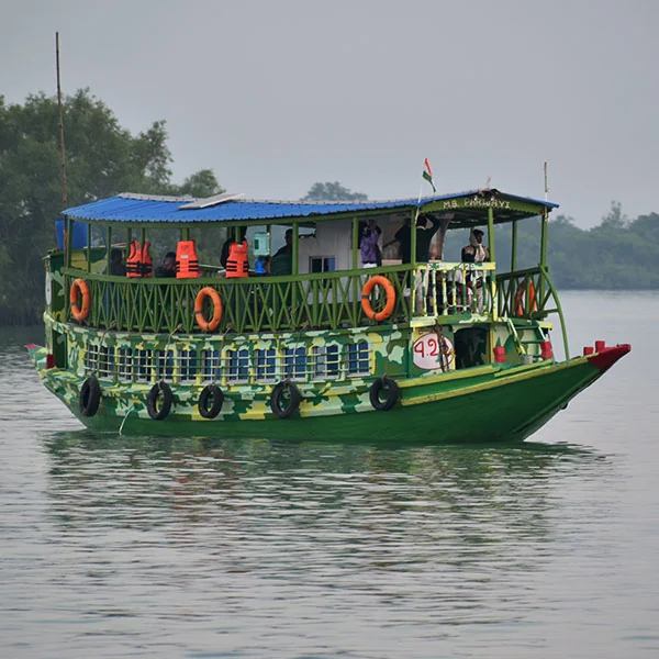Sundarban Tour Activities