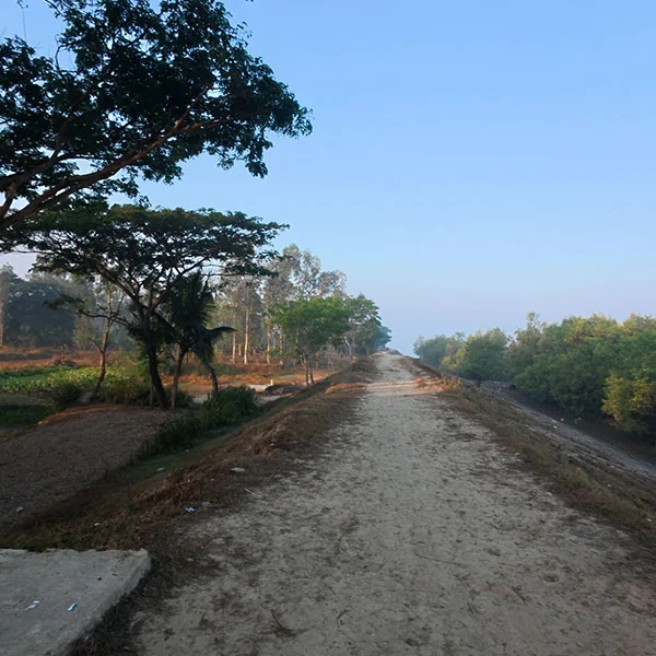 Sundarban village walk